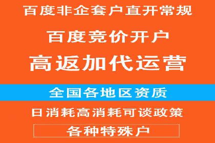 竞价托管服务对比：不同平台的优劣分析